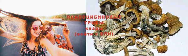 бутират Алзамай