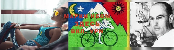 герыч Арсеньев