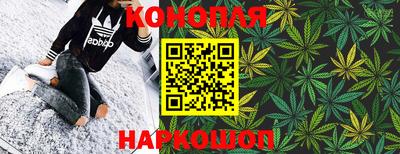 ПСИЛОЦИБИНОВЫЕ ГРИБЫ Новозыбков