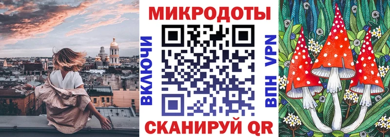даркнет как зайти Пушкино Псилоцибиновые грибы Psilocybe