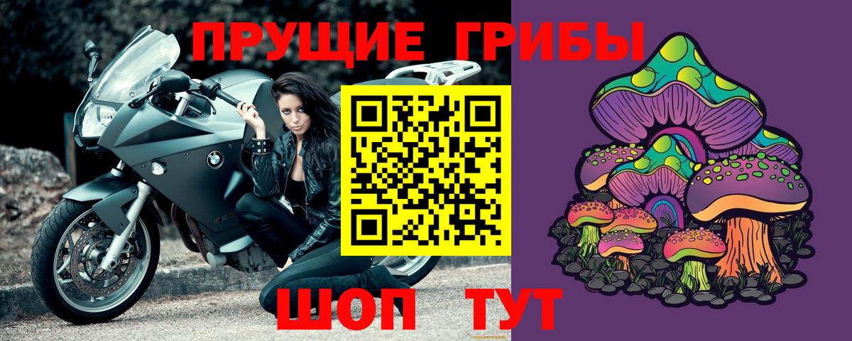 Псилоцибиновые грибы MAGIC MUSHROOMS  Вход с VPN  Пушкино  Псилоцибиновые грибы мицелий 